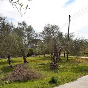 Земельный участок в Corfu, фото 3