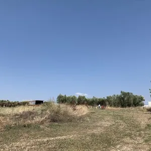 Земельный участок в Επανομή, фото 2