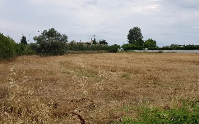 Земельный участок в Kassandra Municipality