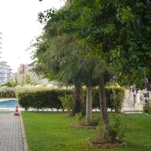 Квартира в Алания, фото 5