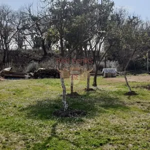 Земельный участок в Тиват, фото 4