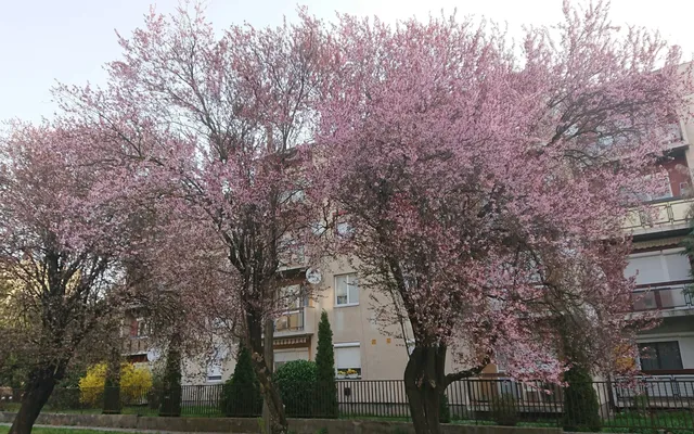 Квартира в Хевиз