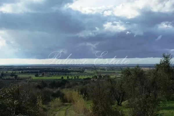 Вилла в Болгери