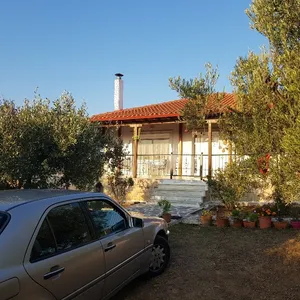 Отдельный дом в Kassandra Municipality, фото 3