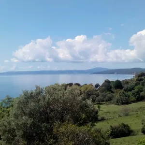 Земельный участок в Aristotle University of Thessaloniki, фото 2