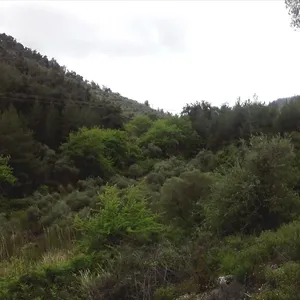 Земельный участок в Тасос, фото 2