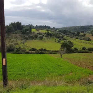Земельный участок в Kassandra Municipality, фото 3