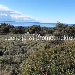 Земельный участок в Вир, фото 2