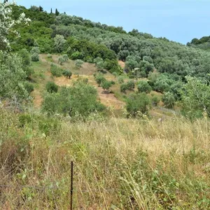 Земельный участок в Corfu, фото 4