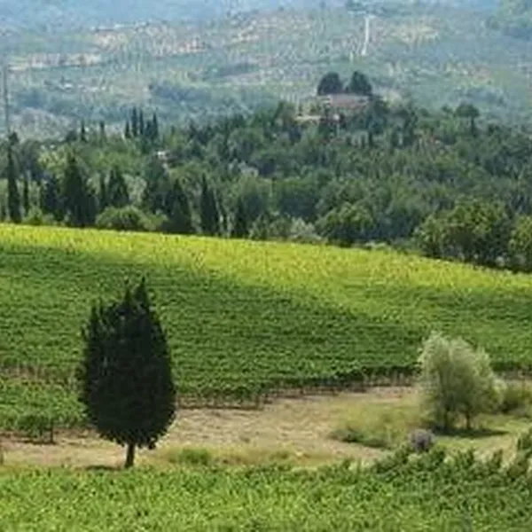 Отдельный дом в Лукка, фото 1