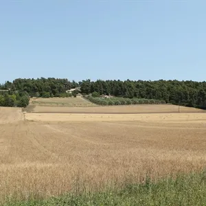 Земельный участок в Kassandra Municipality, фото 5