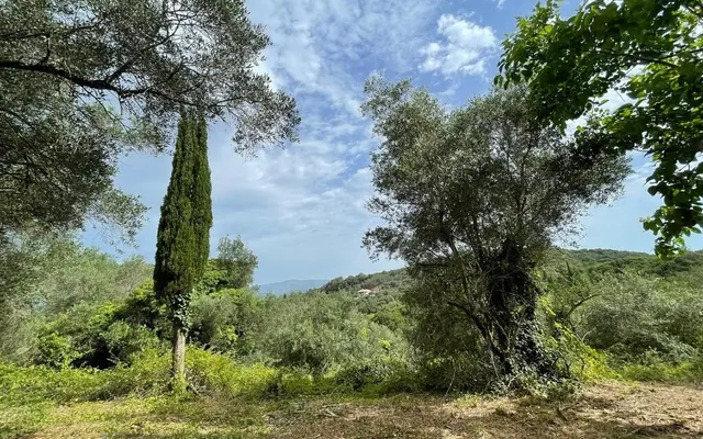 Земельный участок в Corfu