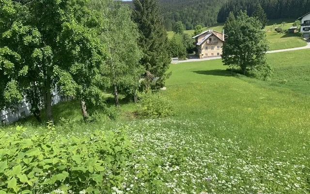 Земельный участок в Лаккенхоф