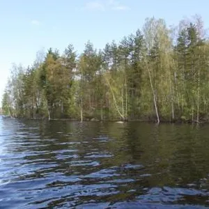 Земельный участок в Руоколахти, фото 2