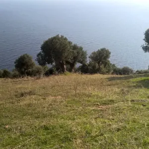 Земельный участок в Kassandra Municipality, фото 2