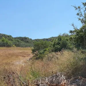Земельный участок в Kassandra Municipality, фото 5