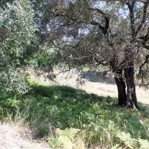 Земельный участок в Corfu, фото 4