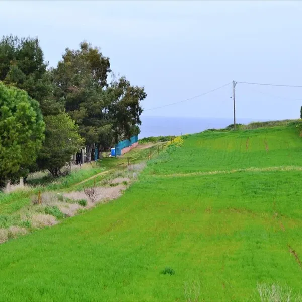 Земельный участок в Kassandra Municipality, фото 2