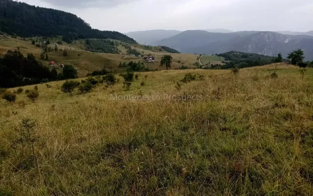 Земельный участок в Плевля