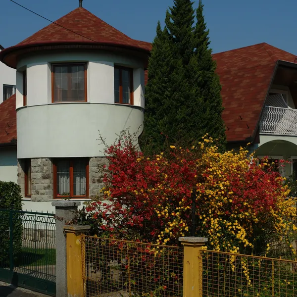 Отдельный дом в Кестхей, фото 1