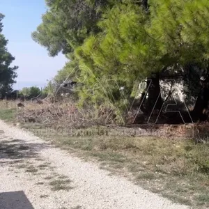 Земельный участок в Вир, фото 2