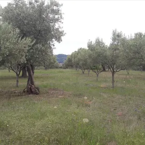 Земельный участок в Ситониа, фото 2
