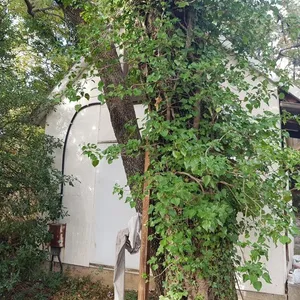 Дом в Сутоморе, фото 3