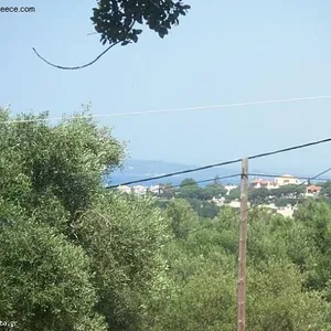 Земельный участок в Планос, фото 2