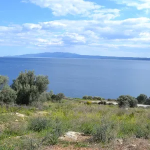 Земельный участок в Aristotle University of Thessaloniki, фото 4