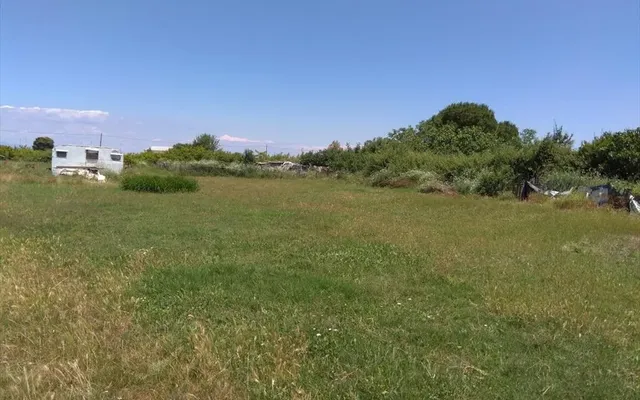 Земельный участок в Aristotle University of Thessaloniki