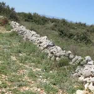 Земельный участок в Вир, фото 3