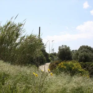 Земельный участок в Kassandra Municipality, фото 3