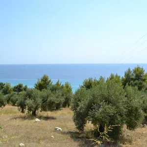 Земельный участок в Kassandra Municipality, фото 4
