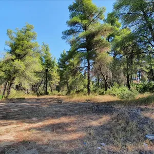 Земельный участок в Kassandra Municipality, фото 4