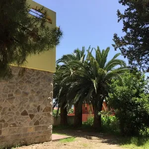 Отдельный дом в Шушань, фото 4