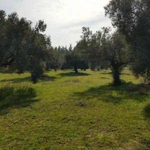 Земельный участок в Kassandra Municipality, фото 3
