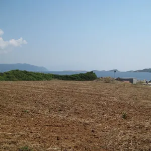 Земельный участок в Aristotle University of Thessaloniki, фото 5