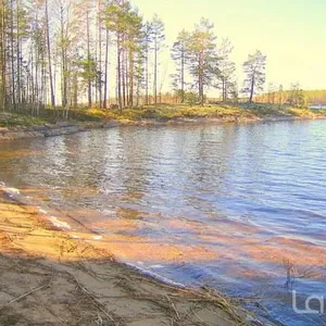 Земельный участок в Руоколахти, фото 3