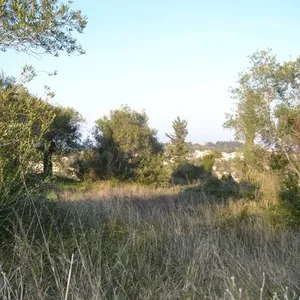 Земельный участок в Corfu, фото 4