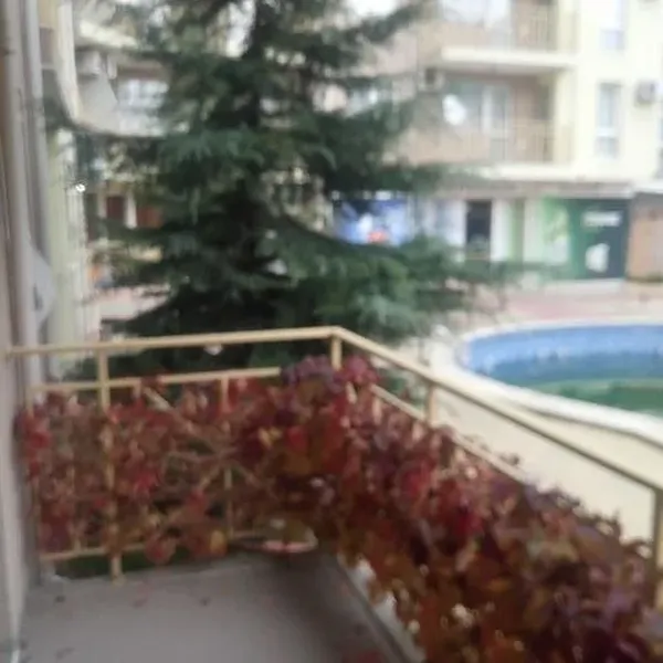 Квартира в Солнечный берег, фото 1
