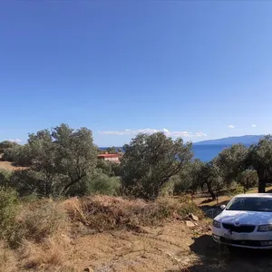 Земельный участок в Aristotle University of Thessaloniki, фото 4