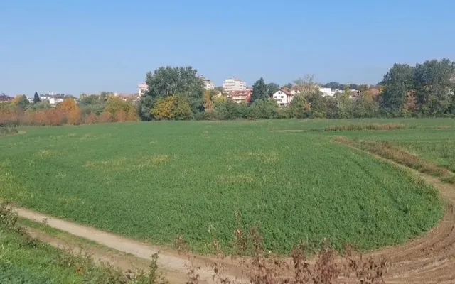 Земельный участок в Кралево