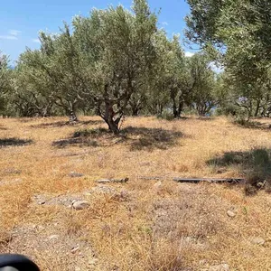 Земельный участок в Municipality of Viannos, фото 5