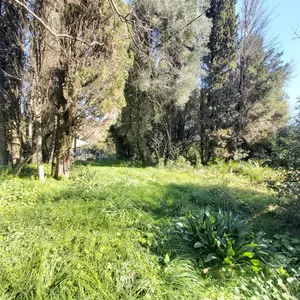 Земельный участок в Corfu, фото 5