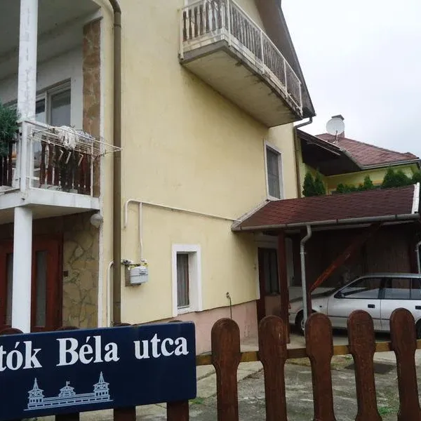 Сфера услуг в Хевиз, фото 1