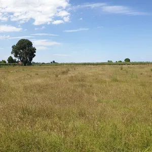 Земельный участок в Катерини, фото 5