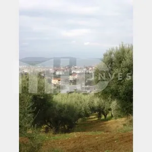 Земельный участок в Ситониа, фото 3