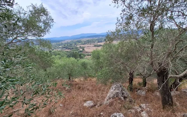 Земельный участок в Corfu