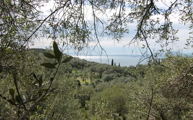 Земельный участок в Corfu