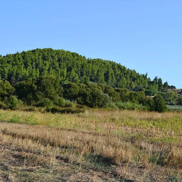 Земельный участок в Kassandra Municipality, фото 1
